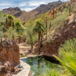 Retiring in the Valley of the Sun: Life in Phoenix 55+ Communities