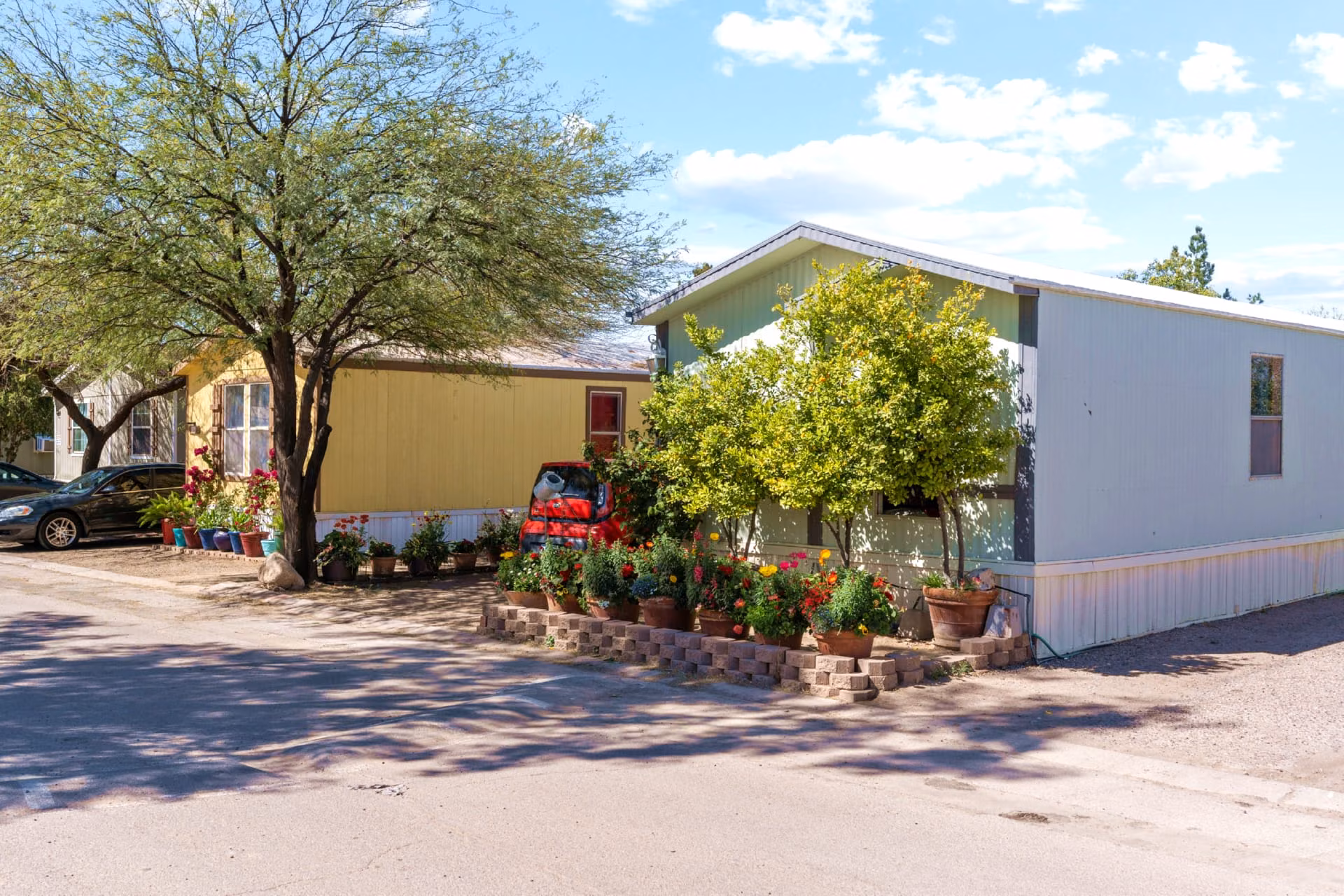 suburban, 55-plus, affordable, residential street view Mesa AZ, quiet suburban neighborhood setting